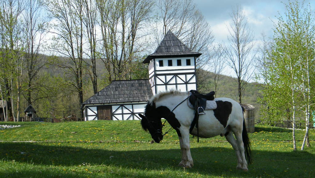 Putovanje to Cardaklija, sela pored Bosanskog Petrovca i Kulen Vakufa